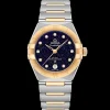 29 mm, acier ‑ or jaune sur acier ‑ or jaune|OMEGA Hot