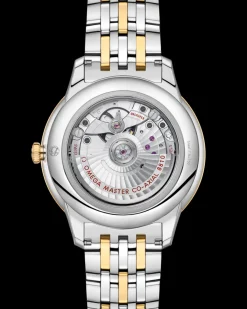 41 mm, acier ‑ or jaune sur acier ‑ or jaune|OMEGA Online