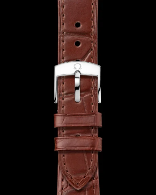 40 mm, acier ‑ or « Sedna™ »|OMEGA Fashion