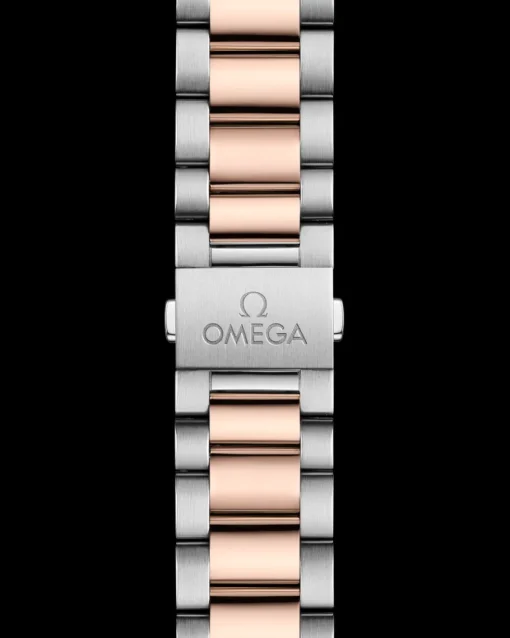 41 mm, acier ‑ or « Sedna™ » sur acier ‑ or « Sedna™ »|OMEGA Clearance