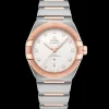 39 mm, acier ‑ or « Sedna™ » sur acier ‑ or « Sedna™ »|OMEGA New
