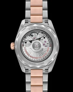 38 mm, acier ‑ or « Sedna™ » sur acier ‑ or « Sedna™ »|OMEGA Fashion