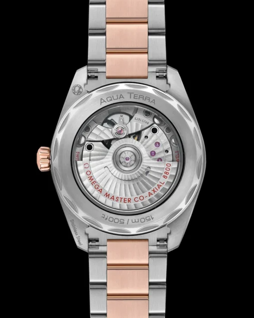 38 mm, acier ‑ or « Sedna™ » sur acier ‑ or « Sedna™ »|OMEGA Fashion