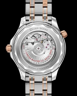 42 mm, acier ‑ or « Sedna™ » sur acier ‑ or « Sedna™ »|OMEGA Discount