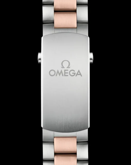 45,5 mm, acier ‑ or « Sedna™ » sur acier ‑ or « Sedna™ »|OMEGA Discount