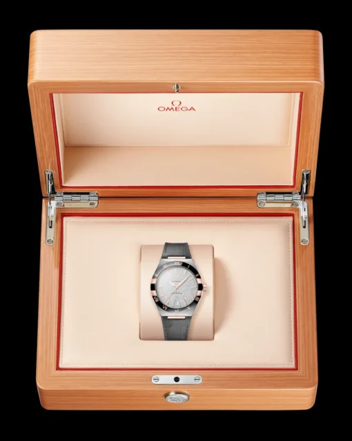 41 mm, acier ‑ or « Sedna™ » sur bracelet en cuir|OMEGA Best