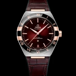 41 mm, acier ‑ or « Sedna™ » sur bracelet en cuir|OMEGA Outlet