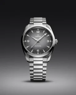 38 mm, acier sur acier|OMEGA Discount