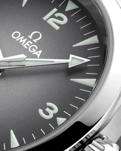 38 mm, acier sur acier|OMEGA Discount