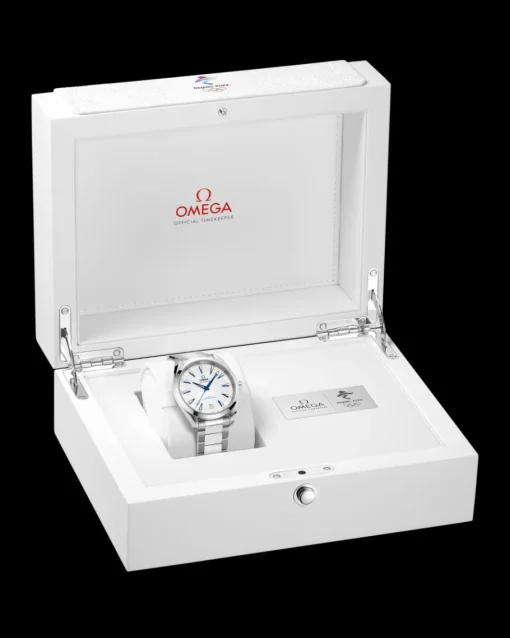 41 mm, acier sur acier|OMEGA Discount