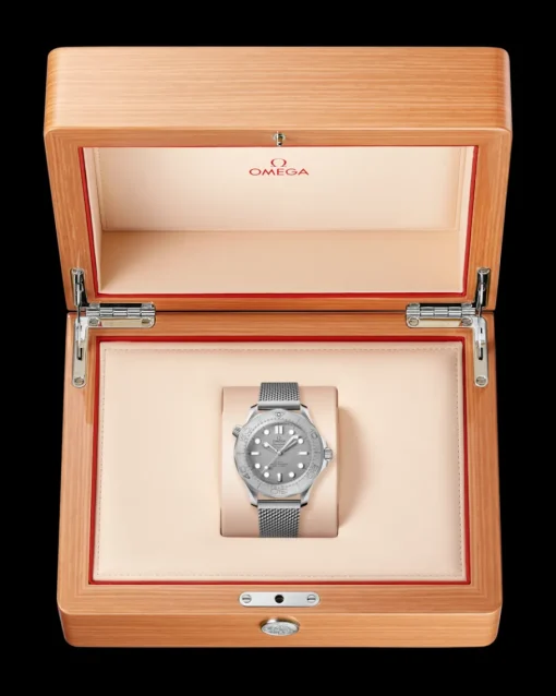 42 mm, acier sur acier|OMEGA New