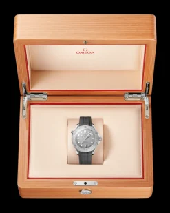 42 mm, acier sur bracelet caoutchouc|OMEGA New