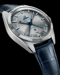 41 mm, acier sur bracelet en cuir|OMEGA Discount