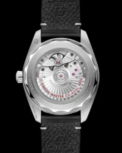 38 mm, acier sur bracelet en cuir|OMEGA Outlet