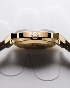 37 mm, or Moonshine™ sur alligator|OMEGA Online