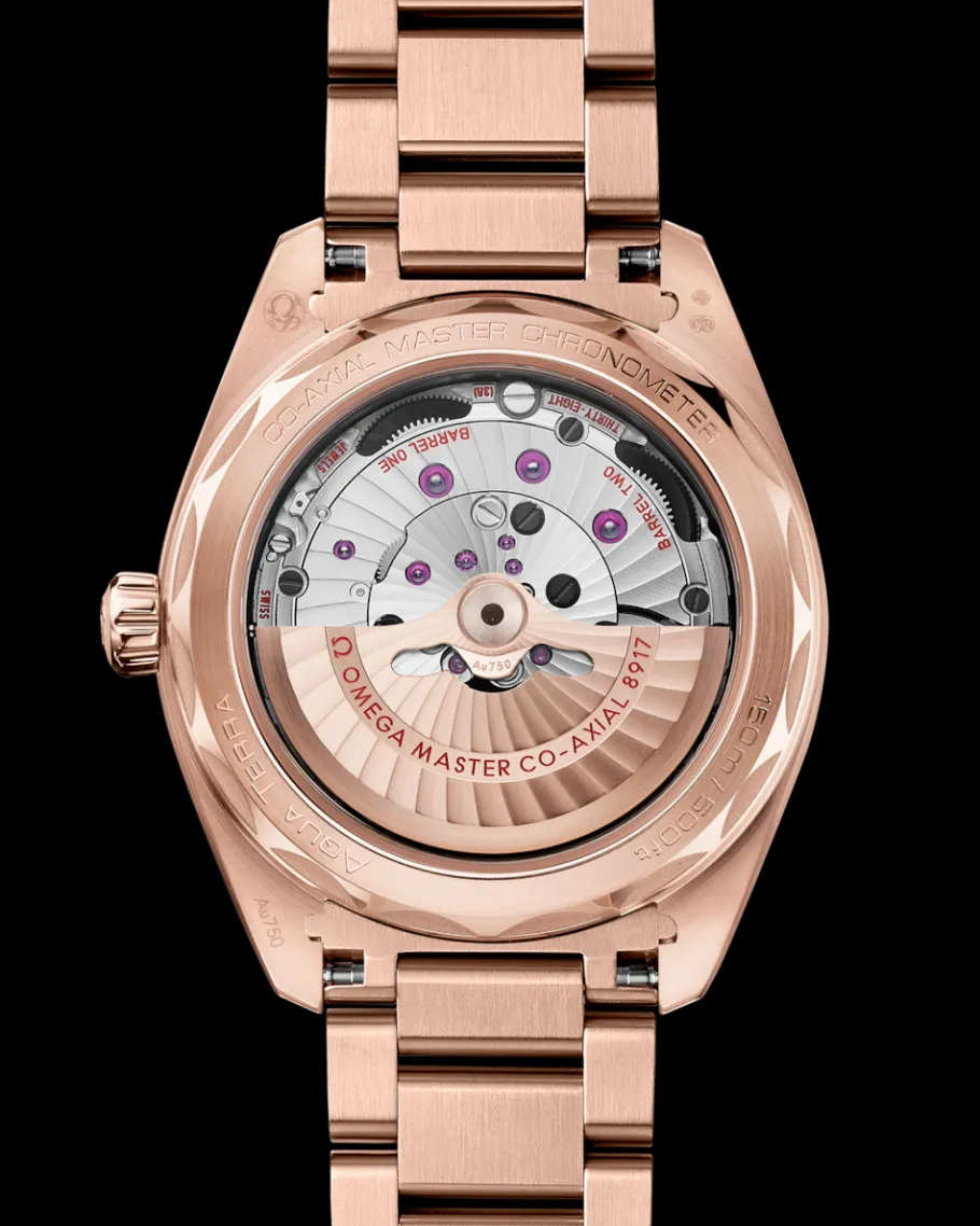 41 mm, or Sedna™ sur or Sedna™|OMEGA Discount