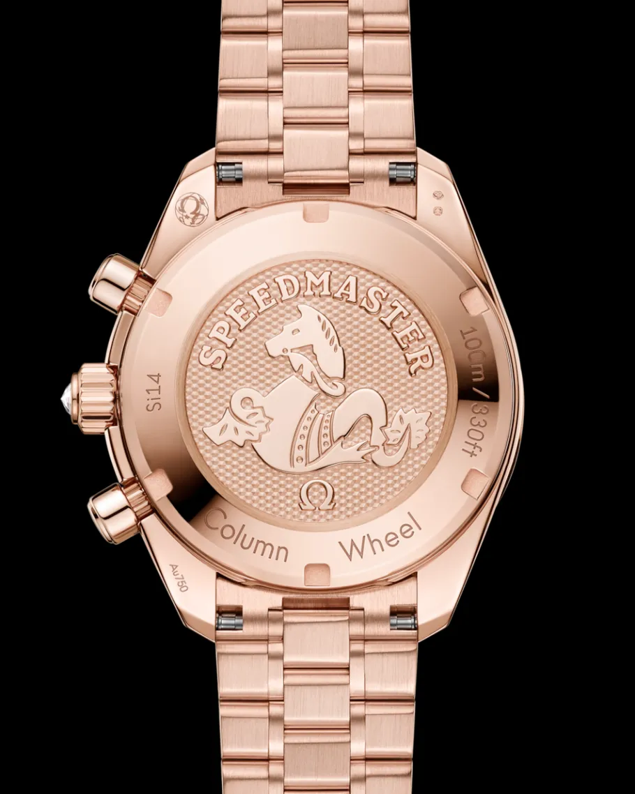 38 mm, or Sedna™ sur or Sedna™|OMEGA Hot